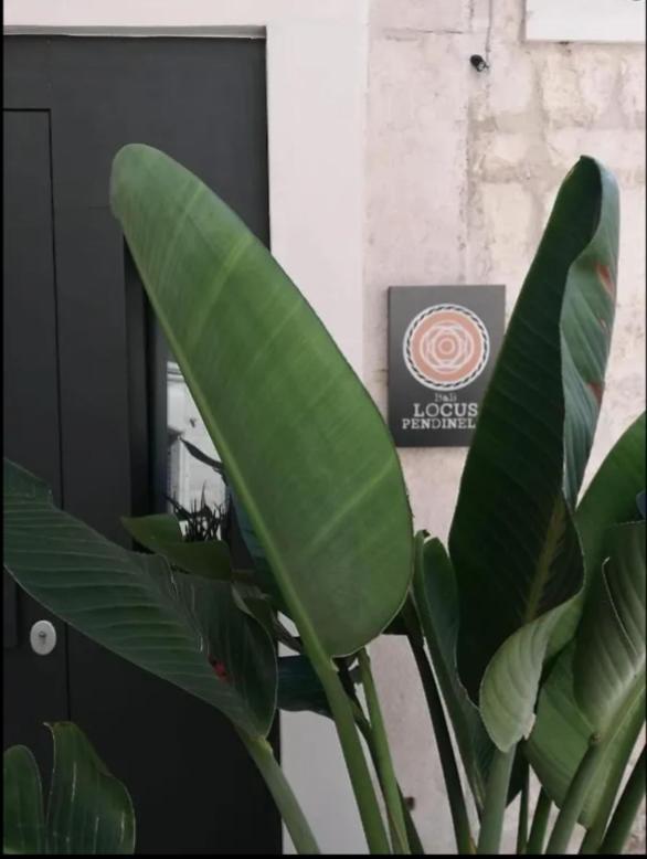 Locus Pendinelli Trani Bed & Breakfast Exterior foto